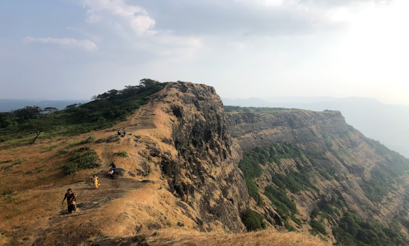 Nagphani Peak, also known as Cobra’s Hood, prominent landmark on Bhimashankar Trek in Maharashtra