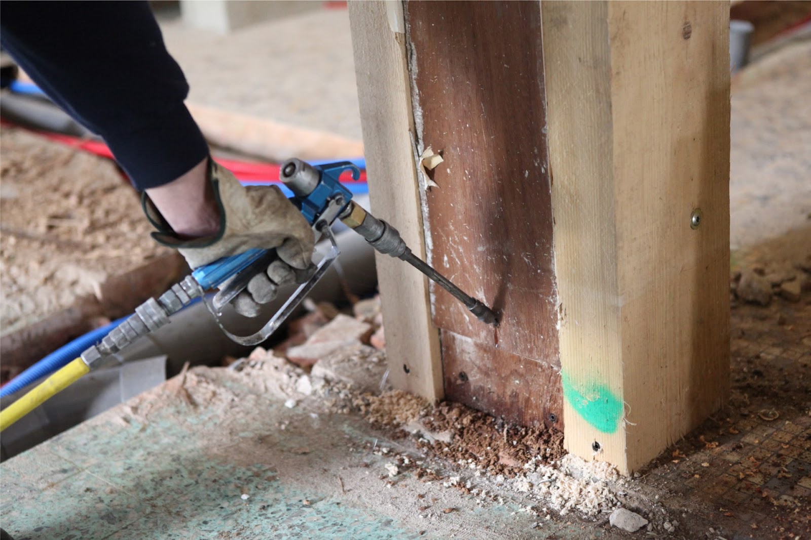 TSD Pest Control expert performing a termite check on property exterior