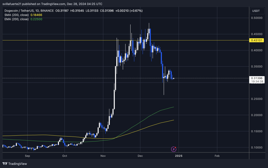 DOGE testing crucial liquidity