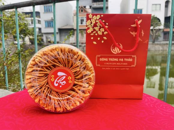 đông trùng hạ thảo, ai không nên dùng đông trùng hạ thảo, giá đông trùng hạ thảo, mua đông trùng hạ thảo, kiến thức 