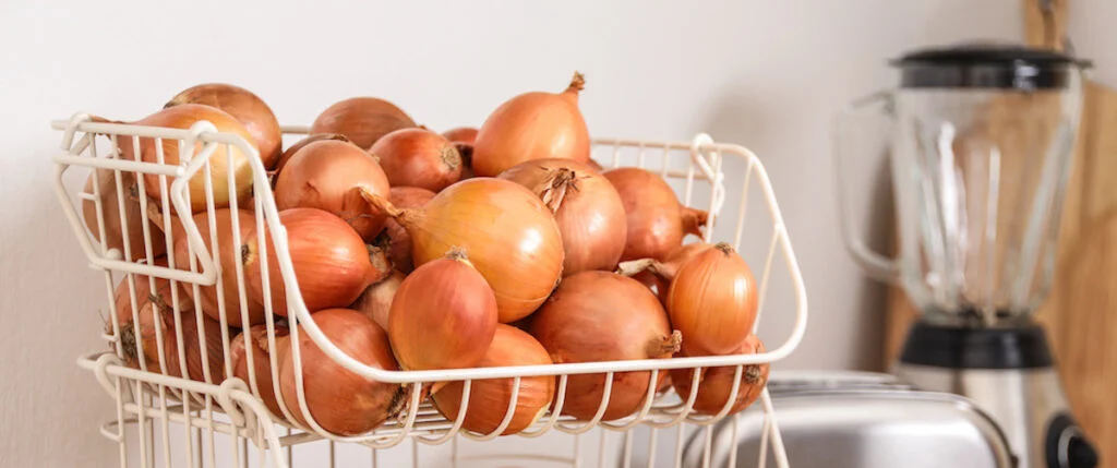 Storing and Using Onions