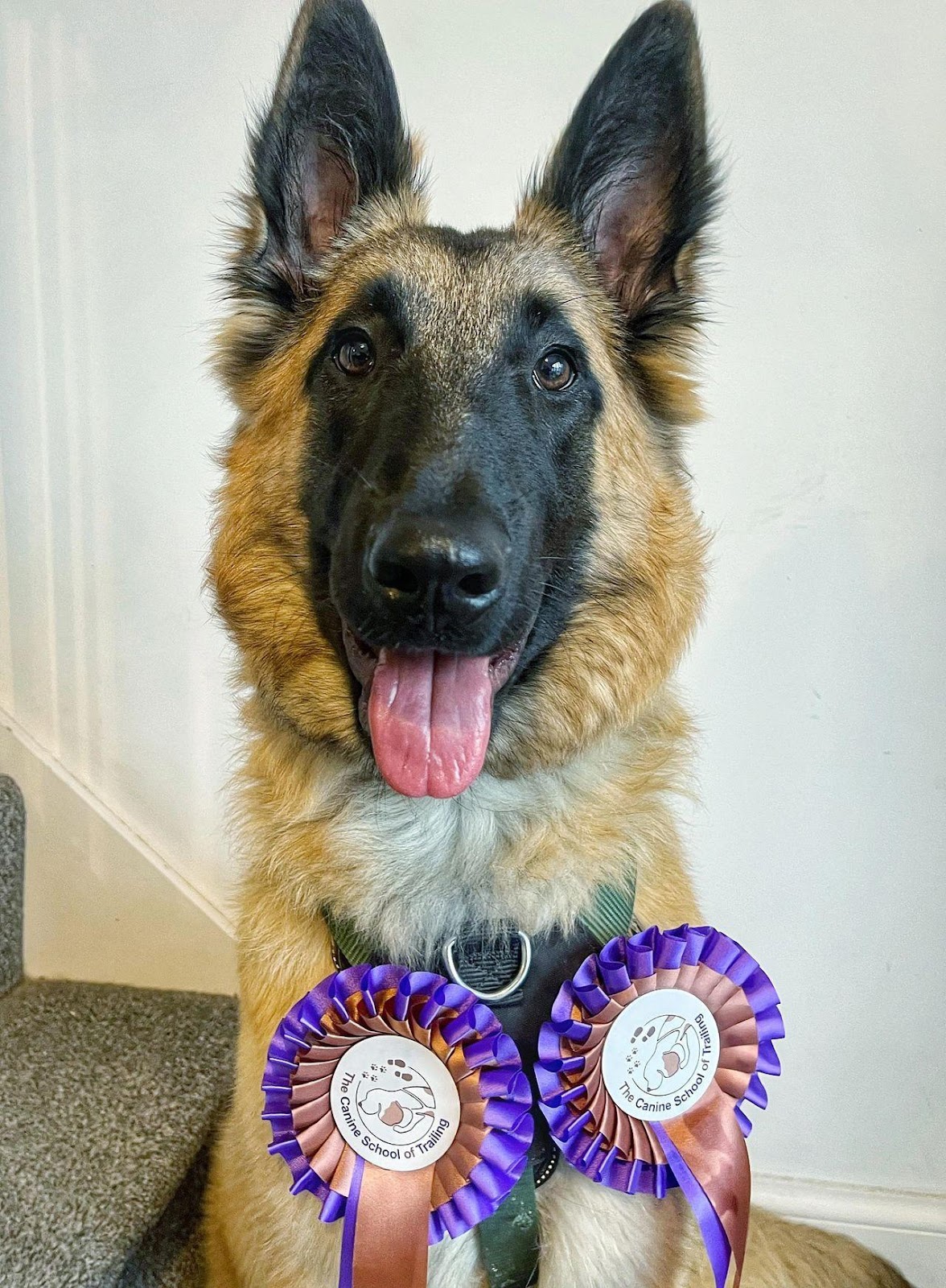 Arnie was very proud!