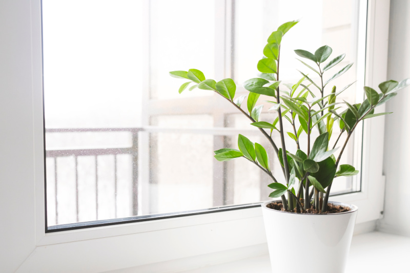 Cách Khắc Phục Lỗi Rút Tiền Tại J88 Dành Cho Người Chơi
