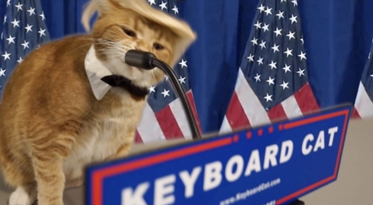 Are Cats The Greatest Meme Cash To Purchase Now: Keycat, Popcat, Simon's Cat Worth Up