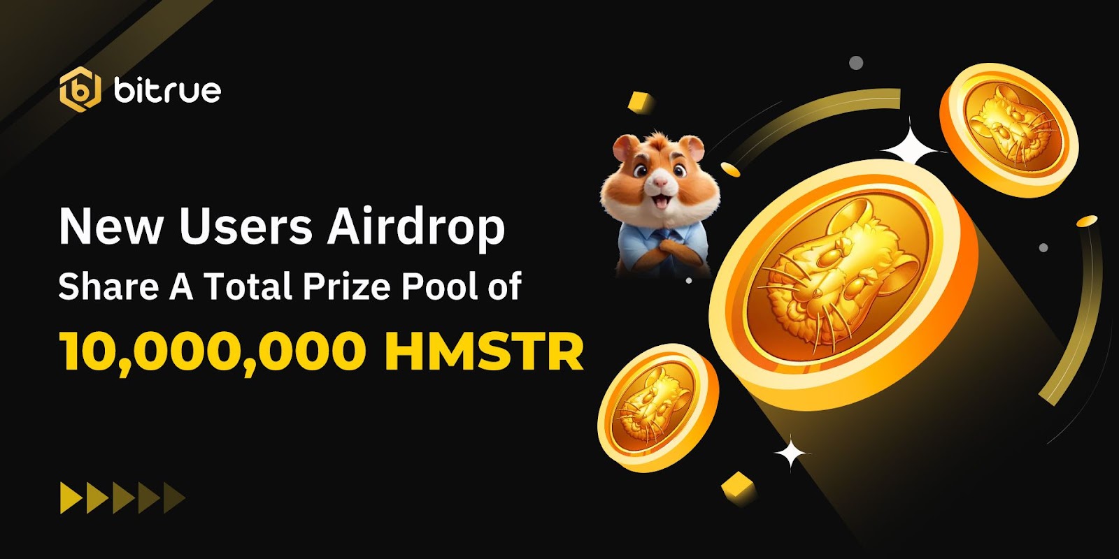 الهامستر كومبات Airdrop Bitrue