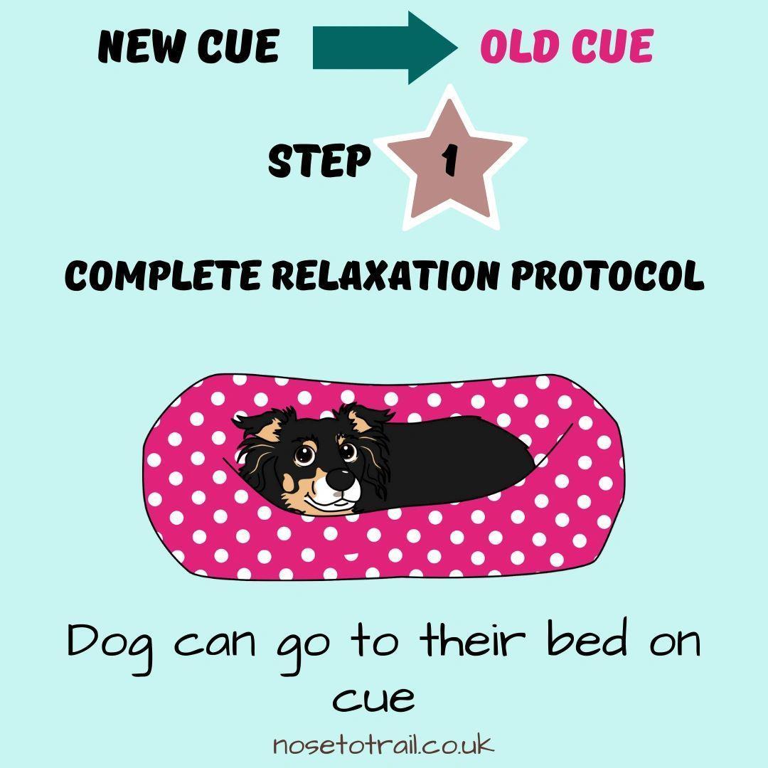 infographic showing a dog lying on their bed