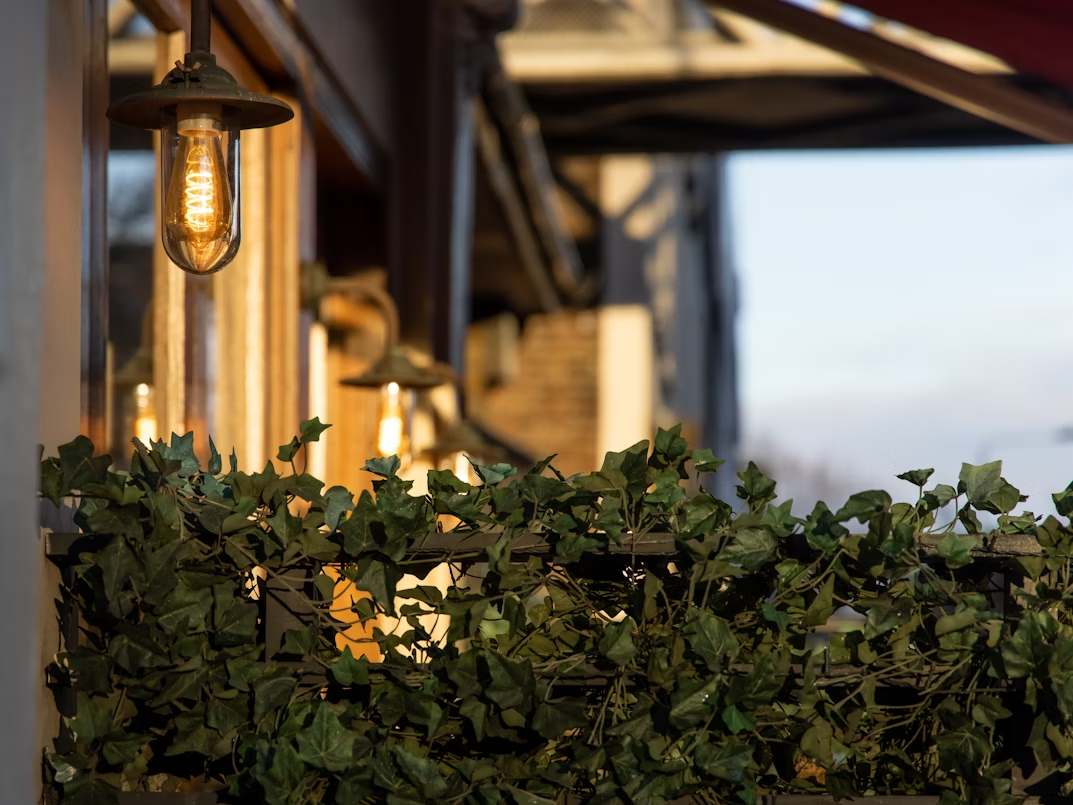 Warm outdoor wall lighting with exposed filament bulbs illuminating a privacy screen covered in ivy on a modern patio or storefront.