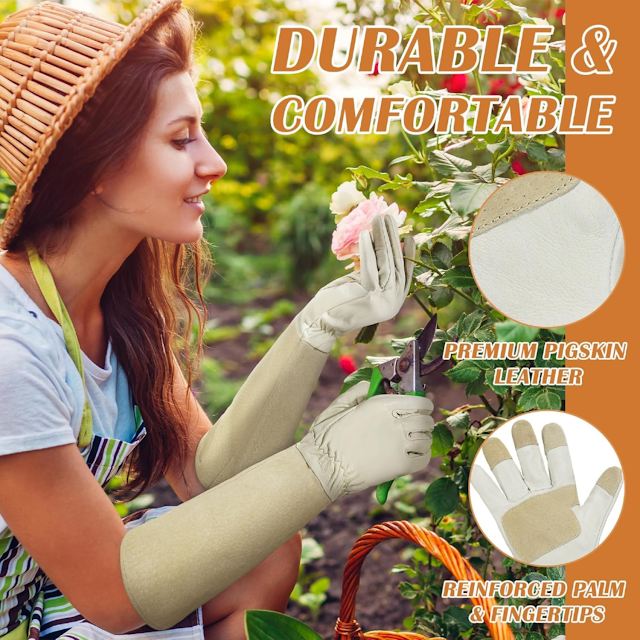 Top 5 Gardening Kits for Iowa Hiking