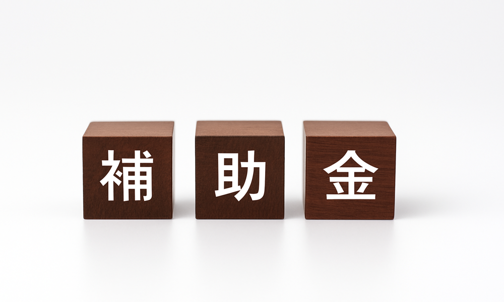 「補助金」と書かれた3つの木製ブロックが白い背景に並んでいる