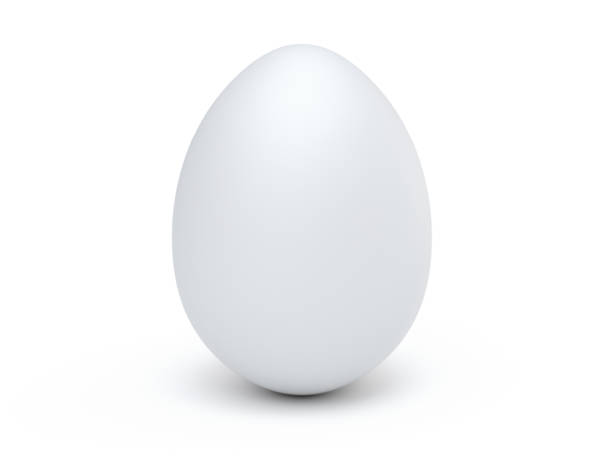 Today Egg Rate In Pakistan current egg price

