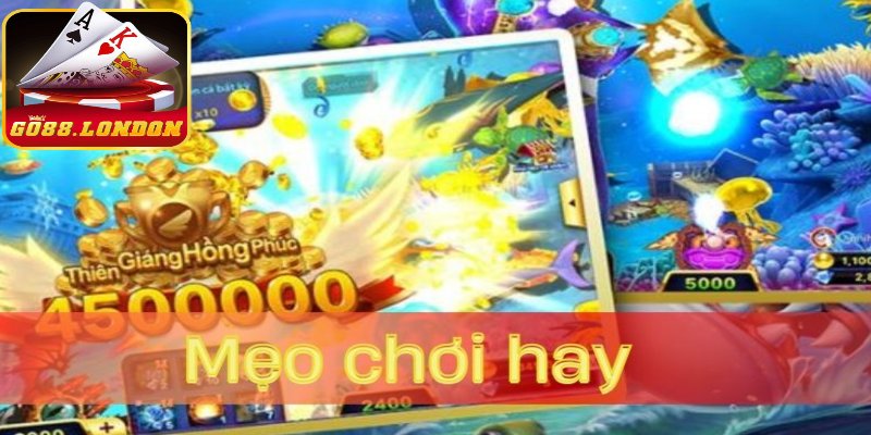 Hãy áp dụng mẹo chơi săn cá săn rồng để thành cao thủ bất bại