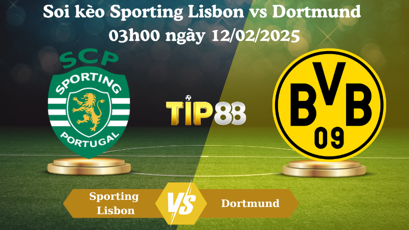 Soi kèo Sporting Lisbon vs Dortmund 03h00 ngày 12/02/2025