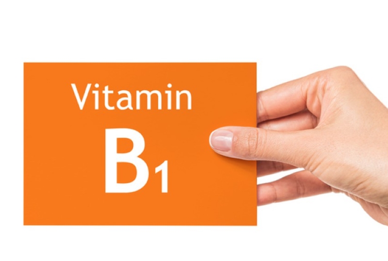 cơ chế tác dụng của vitamin b1