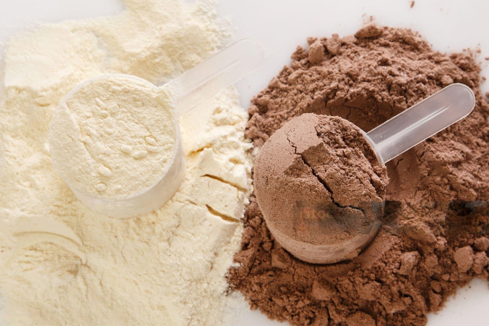 whey isolate and whey protein