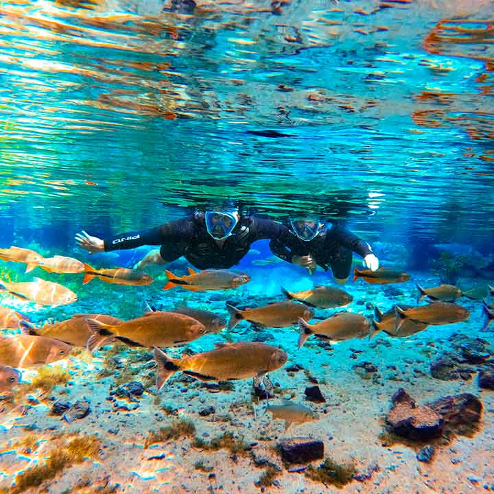 Duas pessoas praticando snorkel em águas cristalinas com peixes coloridos e fundo de corais, desfrutando de uma experiência de exploração marinha.