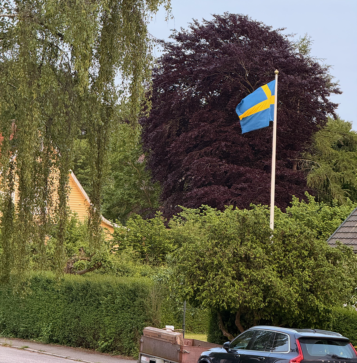 Träd skuggar huset