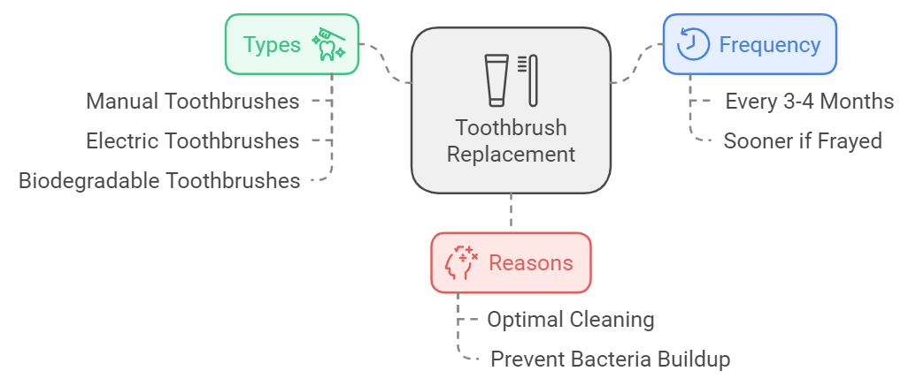 How often should you change your toothbrush?