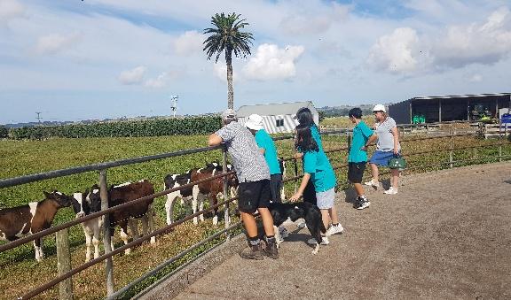 A group of people and animals AI-generated content may be incorrect.