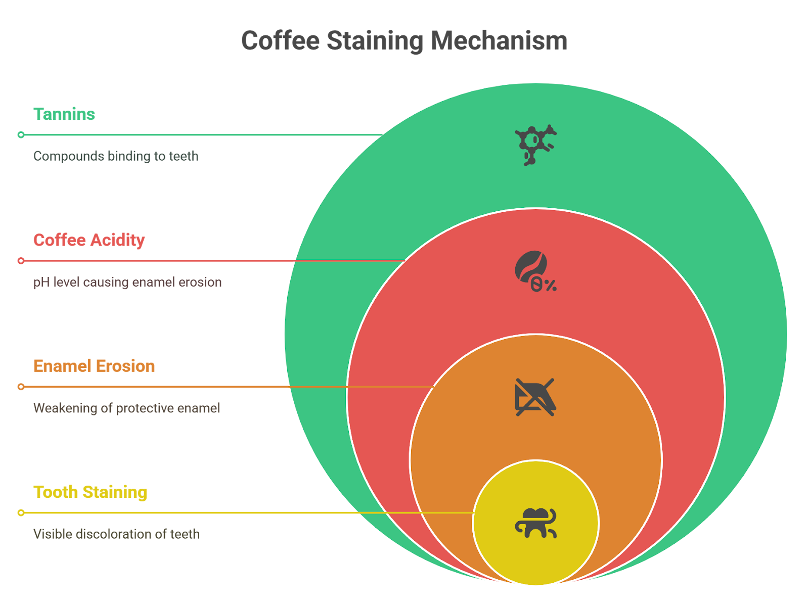The Science Behind Coffee Stains