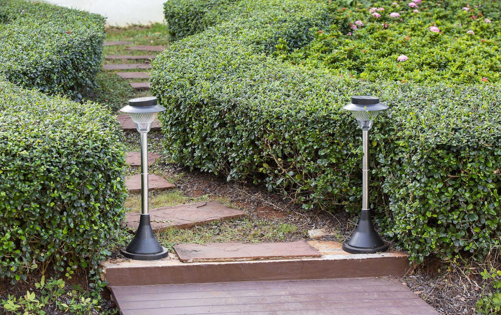 A serene garden walkway lined with vibrant green shrubs featuring solar cells positioned along the path to provide eco-friendly lighting