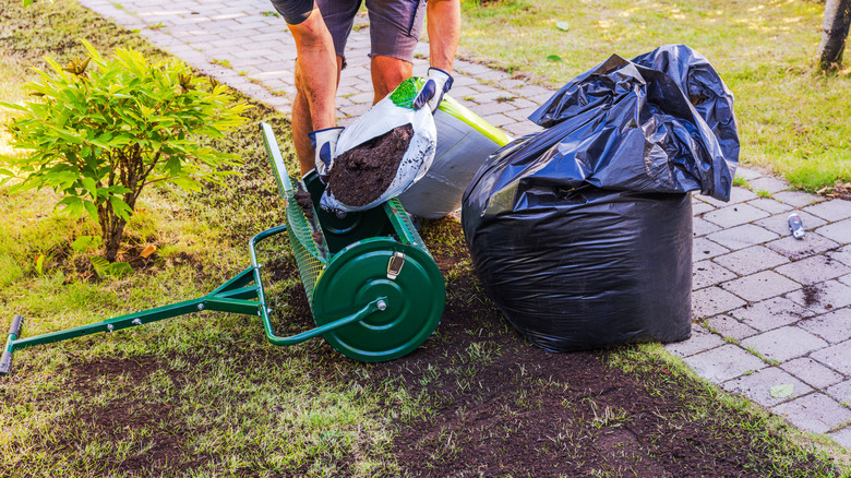 Lawn Care and Maintenance Weeds