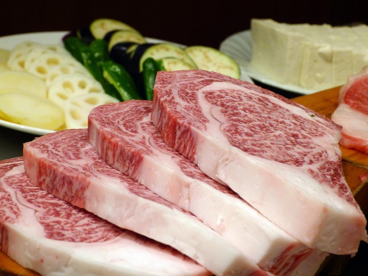 What is the carnivore diet