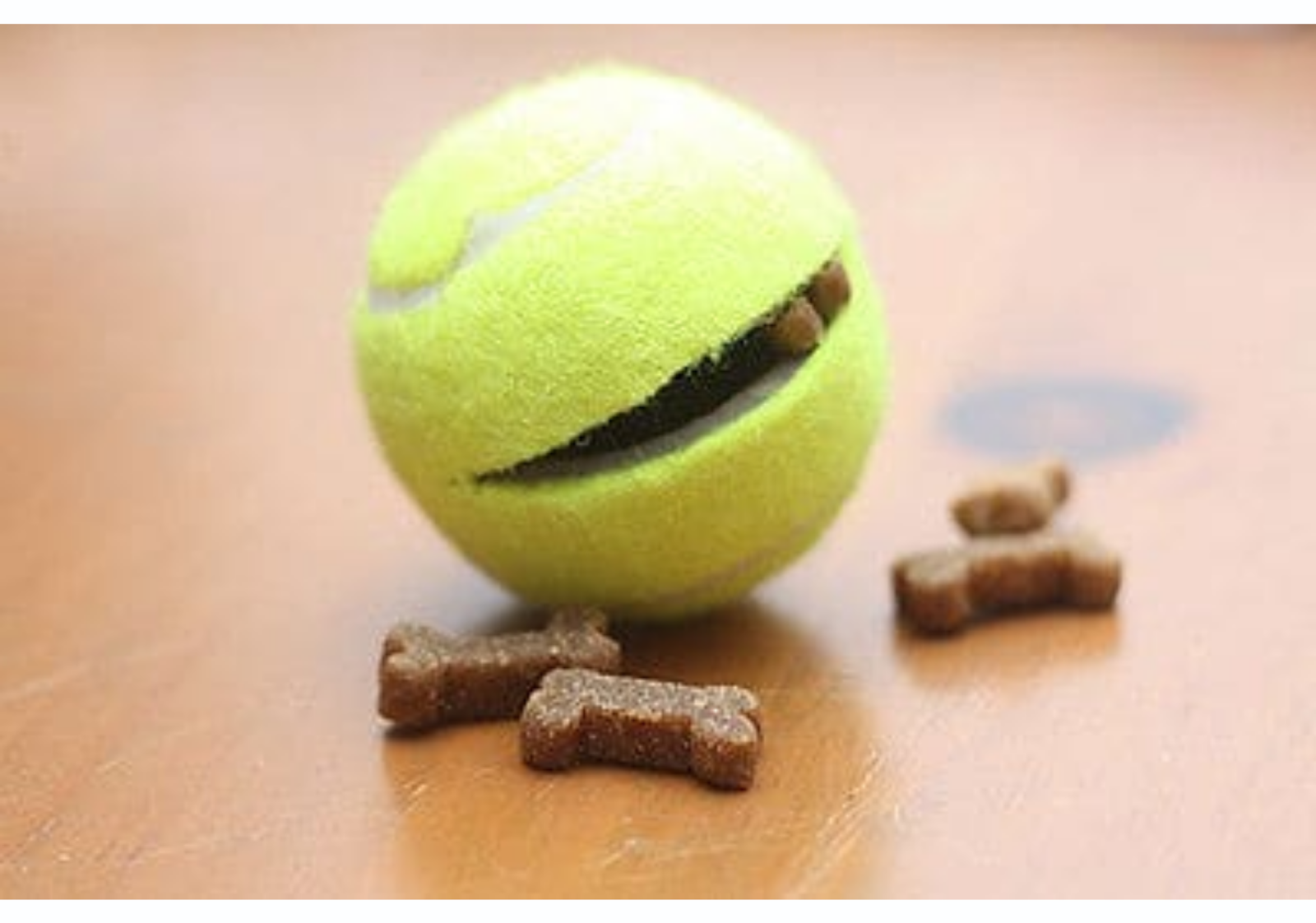 The Tennis Ball Treat Puzzle