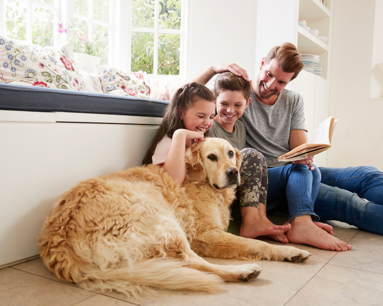 Pet friendly flooring