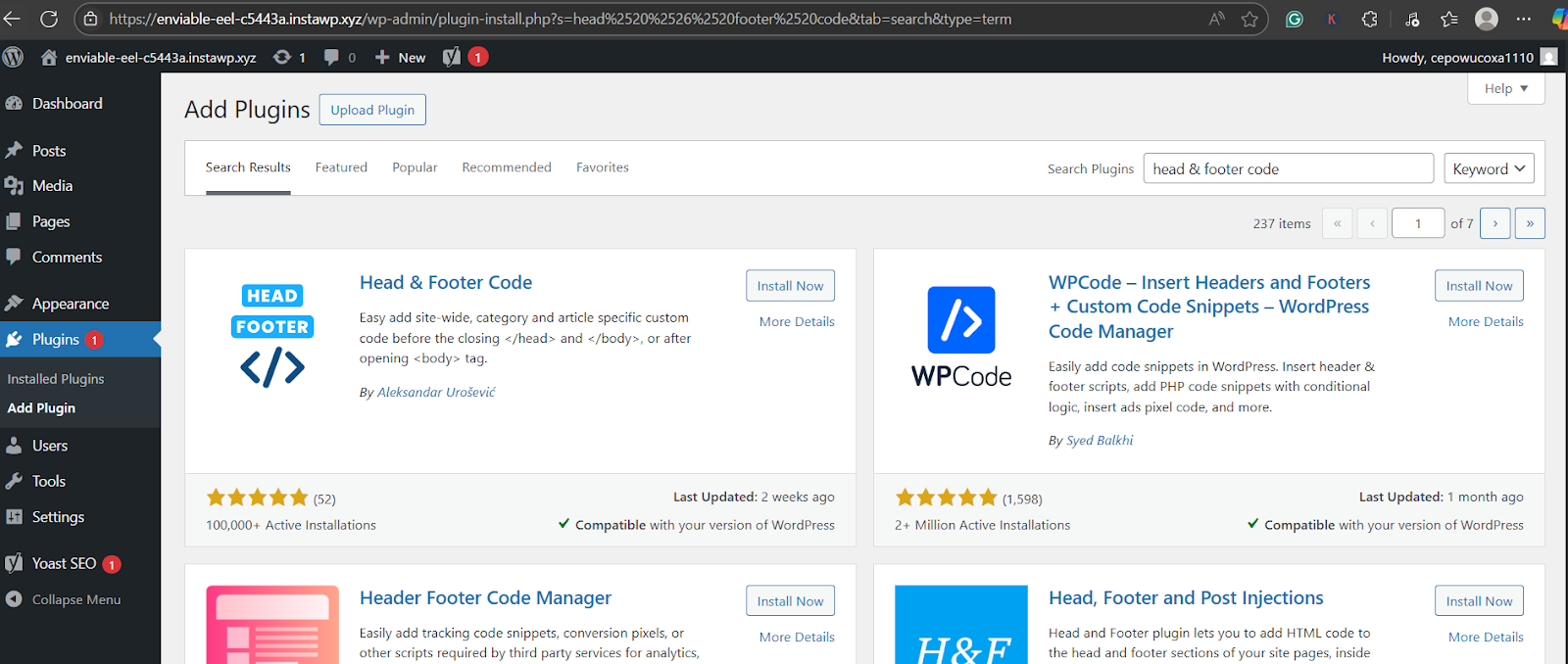 how to add custom code in WordPress