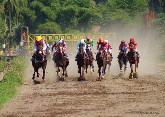 The Importance of Post Time in Horse Racing