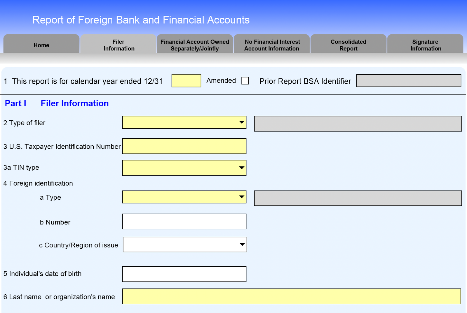 A screenshot of Part I: Filer Information of the FBAR.