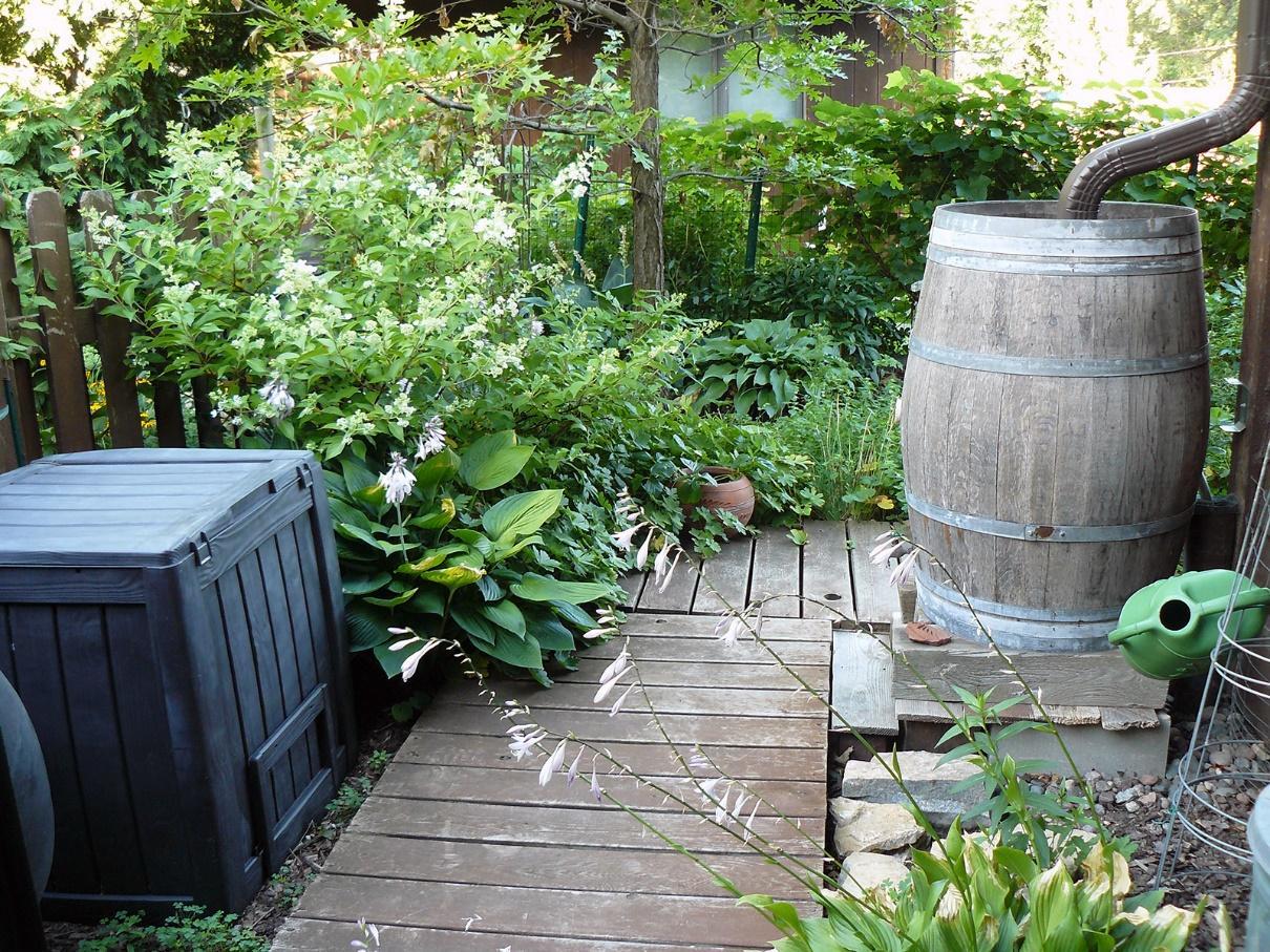 Rain Barrel System in Garden