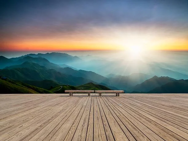 Soft Light and Wide Skies: 18 Beautiful Landscapes, soft light photos, sky landscapes, nature, forest, landscape, gentle scenes, atmospheric views
