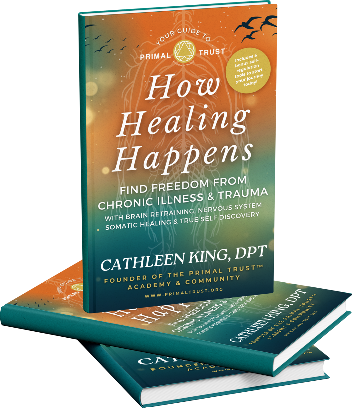 How Healing Happens: Find Freedom from Chronic Illness & Trauma. Book from Dr. Cathleen King, DPT