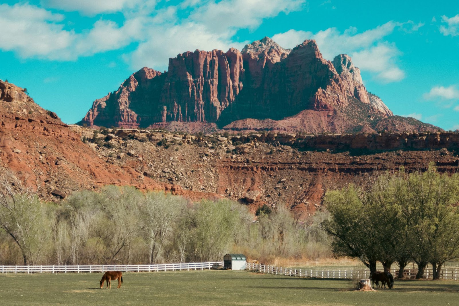 Outside Zion National Park, Utah by Fabio Sasso