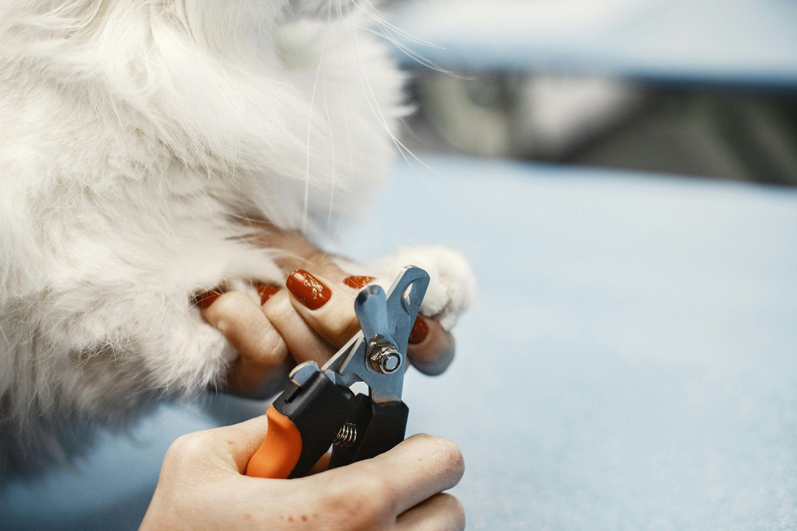 Hairspray for Nail Trimming