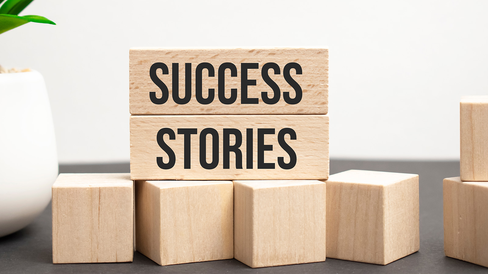 Testimonials or success stories build brand trust. 