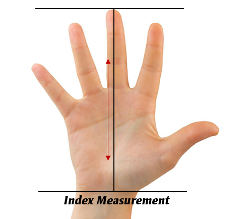 hand size index measurement