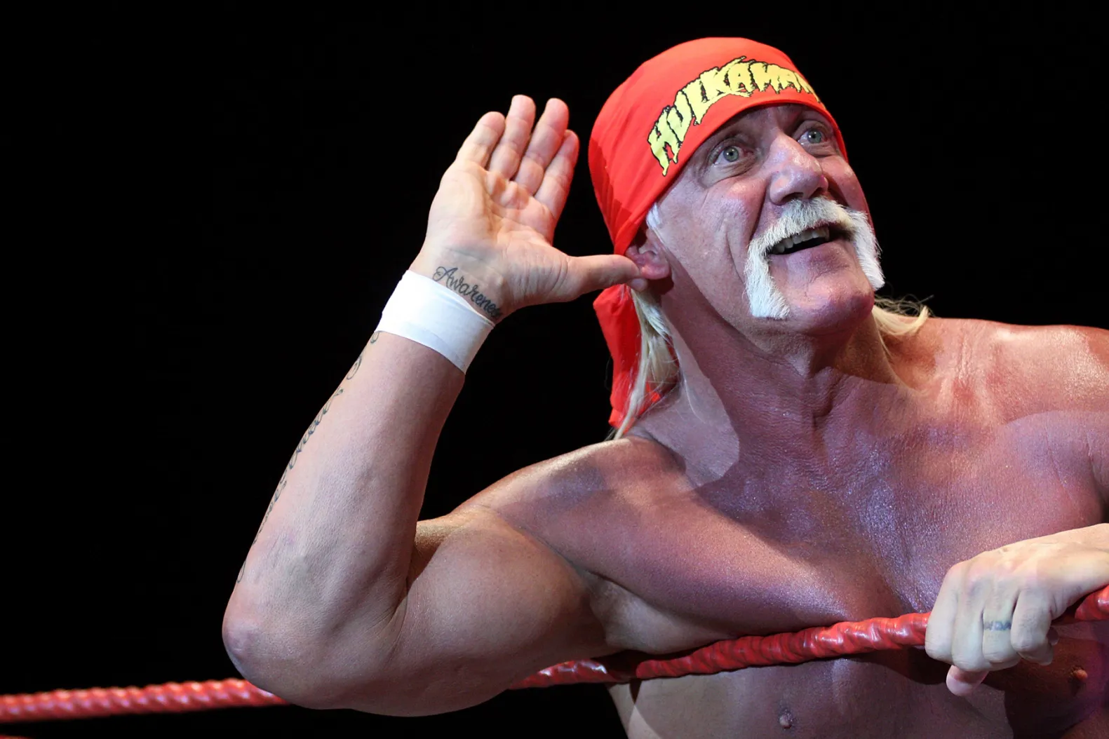 Godfather of WWE