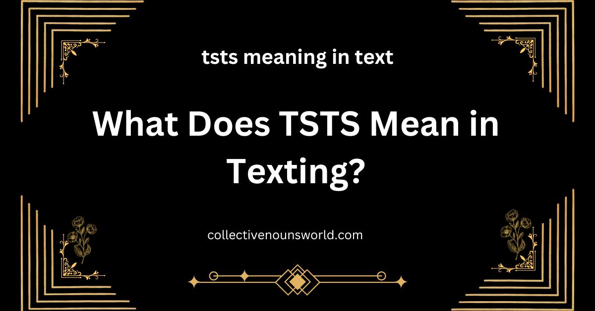 TSTS slang