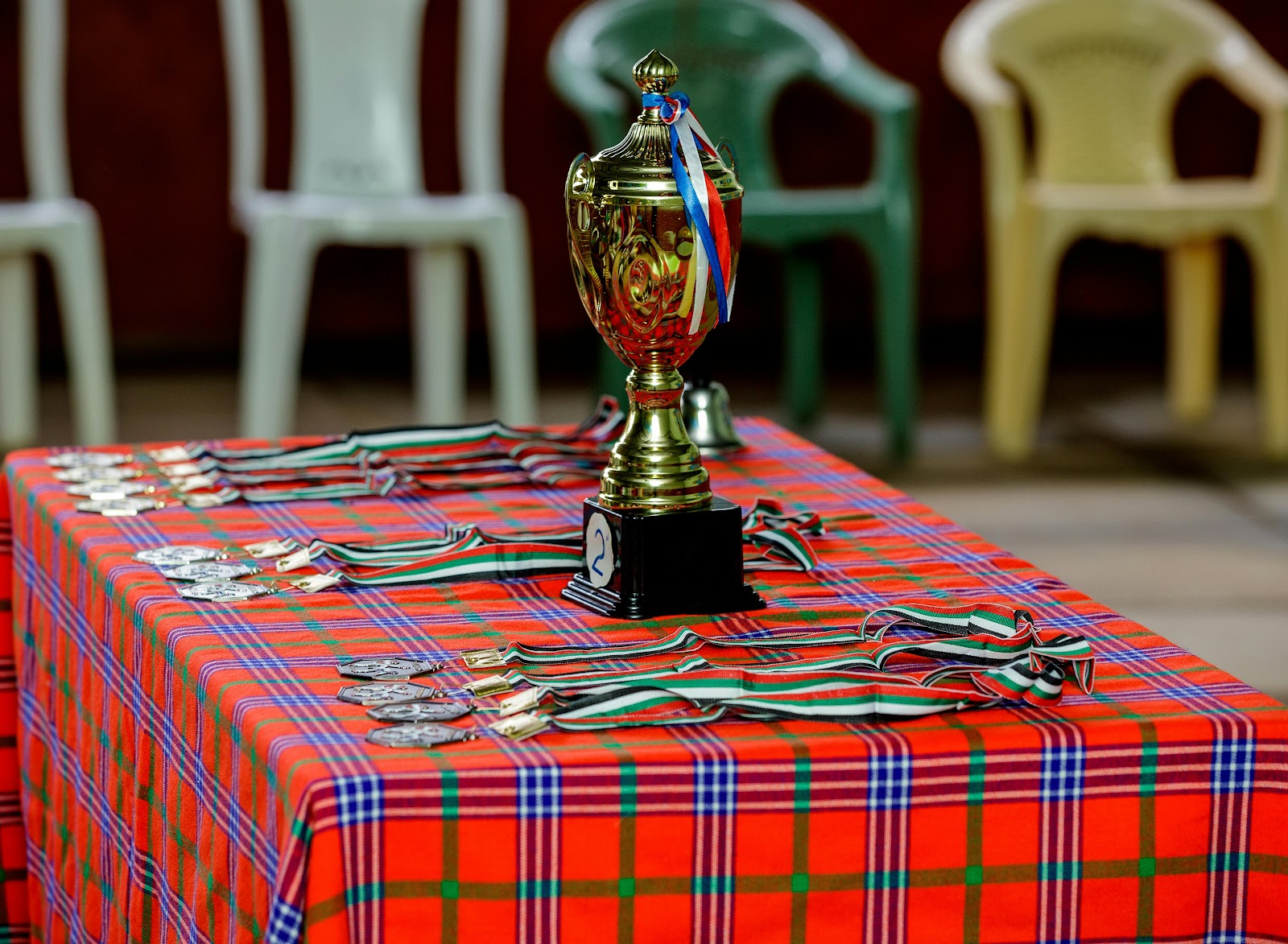 A young student participating in academic competitions, a key part of the homeschooling experience in South Africa