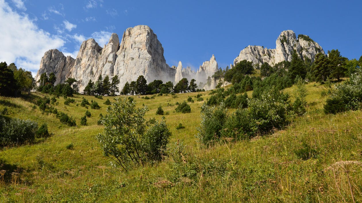 The French Alps