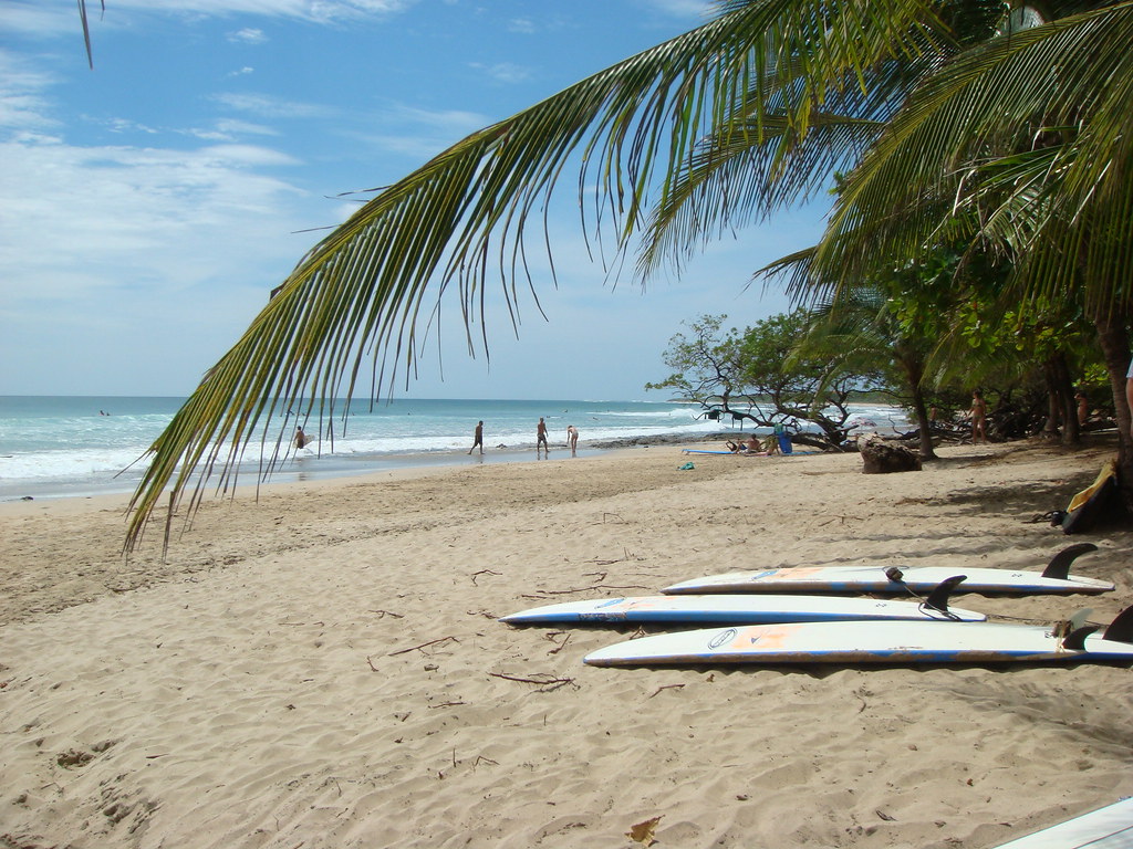 Clean and clear water and brown sand. Surfing boards are lying on the sand
