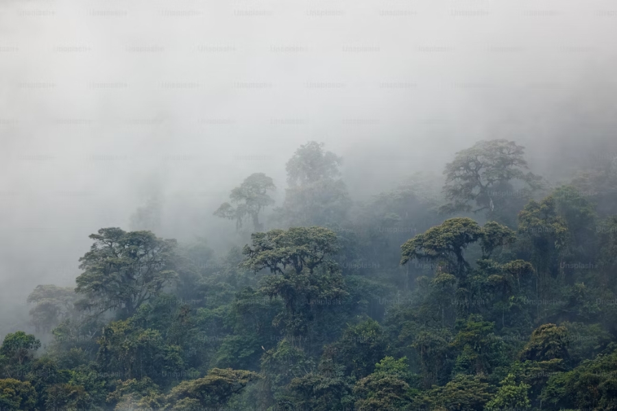 Some mountainous areas in Thailand’s winter seasons