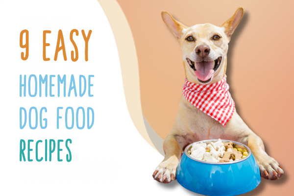 9 Easy Homemade Dog Food Recipes