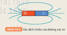 BÀI 19. TỪ TRƯỜNG MỞ ĐẦUCâu hỏi: Đặt kim nam châm tự do, xa nam châm hoặc vật liệu có tính chất từ khác, kim nam châm luôn nằm cân bằng theo hướng Bắc – Nam. Vì sao? Đặt kim nam châm tại các vị trí khác nhau xung quanh một nam châm thẳng như hình trên, kim nam châm nằm theo các hướng khác nhau. Vì sao?Đáp án chuẩn:Do Trái Đất là một nam châm khổng lồ nên kim nam châm vẫn luôn nằm cân bằng theo hướng của Trái Đất. Kim nam châm nằm theo hướng khác nhau, vì khi đặt nam châm và kim nam châm khác cực thì chúng có xu hướng hút nhau.I. TỪ TRƯỜNGCâu hỏi: Có thể phát hiện sự tồn tại của từ trường bằng cách nào?Đáp án chuẩn:Dùng nam châm thử.II. TỪ PHỔCâu 1: Các mạt sắt xung quanh nam châm (Hình 19.2) được sắp xếp thành những đường như thế nào?Đáp án chuẩn:Các mạt sắt được sắp xếp thành những đường cong nối từ cực này sang cực kia của nam châm.Câu 2: Ở vùng nào các đường mạt sắt sắp xếp dày, vùng nào sắp xếp thưa?Đáp án chuẩn:Càng gần nam châm, các đường mạt sắt sắp xếp dày. Càng ra xa nam châm, những đường này sắp xếp thưa.III. ĐƯỜNG SỨC TỪCâu 1: Dùng bút tô dọc theo các đường mạt sắt nối từ cực nọ sang cực kia của nam châm trên tấm nhựa, ta sẽ được các đường gọi là đường sức từ (Hình 19.3)Đáp án chuẩn:Câu 2: Đặt một kim nam châm nhỏ trên một đường sức và di chuyển kim nam châm theo đường sức từ.Có nhận xét gì về sự định hướng của kim nam  châm khi di chuyển trên đường sức từ?Đánh dấu mũi tên tại mỗi vị trí đặt kim nam châm trên dường sức từ theo chiều từ cực Nam đến cực Bắc của kim.Quy ước chiều đường sức từ là chiều từ cực Nam đến cực Bắc của kim nam châm đặt cân bằng trên đường sức từ đó.Vẽ một số đường sức từ của nam châm và đánh dấu chiều của đường sức từ.Đáp án chuẩn:Câu 1: Xác định chiều đường sức từ của một nam châm thẳng trong Hình 19.5Đáp án chuẩn:Chiều đường sức từ của một nam châm thẳng trong Hình 19.5Câu 2: Hình 19.6 cho biết từ phổ của nam châm hình chữ U. Dựa vào đó hãy vẽ đường sức từ của nó. Có nhận xét gì về các đường sức từ của nam châm này?Đáp án chuẩn:- Đường sức từ của nam châm hình chữ U:- Nhận xét: Càng gần đầu thanh nam châm, đường sức càng mau hơn. IV. TỪ TRƯỜNG TRÁI ĐẤT