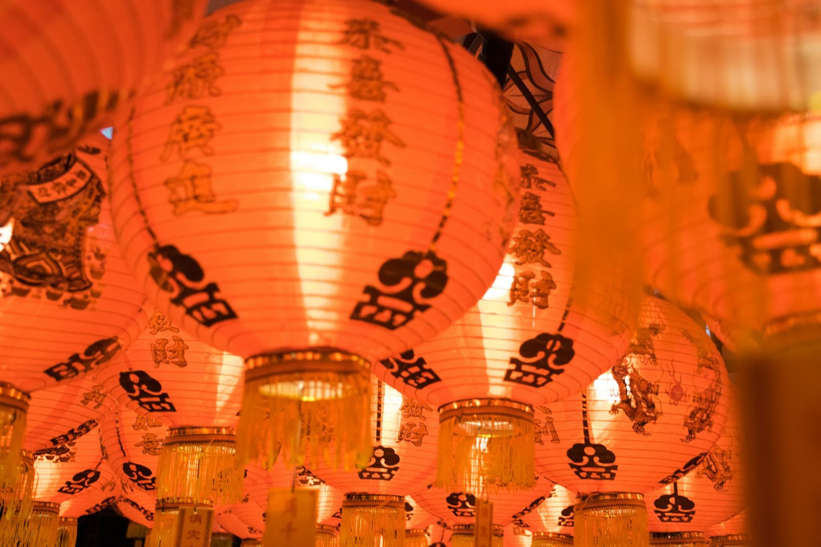 8 Things to Do this Chinese New Year (2025)!