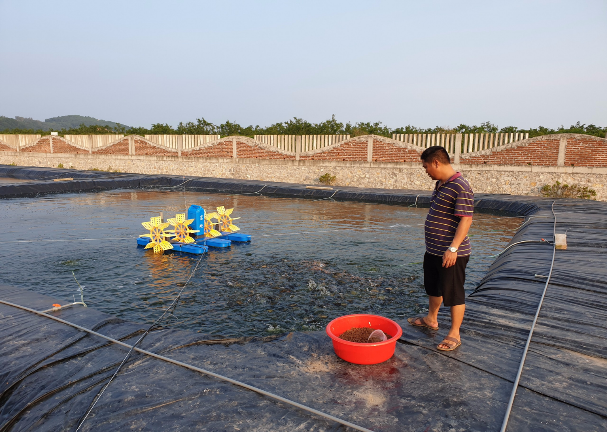 BÀI 5: THỰC HÀNH: VIẾT BÁO CÁO NGẮN VỀ MỘT SỐ MÔ HÌNH SẢN XUẤT NÔNG NGHIỆP 