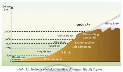 BÀI 18: QUY LUẬT ĐỊA ĐỚI VÀ QUY LUẬT PHI ĐỊA ĐỚII. QUY LUẬT ĐỊA ĐỚI1. Khái niệmCâu 1: Dựa vào thông tin trong bài, em hãy cho biết thế nào là quy luật địa đới.Gợi ý đáp án:  Quy luật địa đới là sự thay đổi có quy luật của tất cả các thành phần tự nhiên và cảnh quan địa lí theo vĩ độ 2. Biểu hiệnCâu 2: Dựa vào thông tin trong bài, em hãy trình bày biểu hiện của quy luật địa đới thông qua sự phân bố của các thành phẩn và cảnh quan địa lí. Cho ví dụ minh họa.Gợi ý đáp án:+ Sự phân bố các vòng đai nhiệt: từ Xích đạo về hai cực gồm vòng đai nóng, hai vòng đai ôn hoà, hai vòng đai lạnh và hai vòng đai băng giá vĩnh cửu.+ Các đai khí áp và các đới gió chính: + Từ Xích đạo về hai cực gồm đai áp thấp xích đạo, hai đai áp cao cận nhiệt đới, hai đai áp thấp ôn đới và hai đai áp cao địa cực. + Mỗi bán cầu, từ Xích đạo về cực đều có đới gió Mậu dịch, đới gió Tây ôn đới và đới gió Đông cực.+ Các đới khí hậu:Từ Xích đạo về hai cực lần lượt có các đới khí hậu xích đạo cận xích đạo, nhiệt đới, cận nhiệt đới, ôn đới, cận cực và cực.+ Các kiểu thảm thực vật: Có 10 kiểu thảm thực vật từ cực đến xích đạo. Có 10 nhóm đất từ cực đến xích đạo.II. QUY LUẬT PHI ĐỊA ĐỚICâu 3: Dựa vào hình 18. 1, hình 18.2 và thông tín trong bài, em hãy:- Trình bày khái niệm quy luật phi địa đới.- Kể tên các vành đai đất và thực vật từ thấp lên cao ở sườn Tây dãy Cáp-ca. Giải thích vì sao thực vật và đất lại phân bố như vậy.- So sánh sự khác nhau về các vành đai thực vật ở hai sườn dãy An-đét. Giải thích vì sao đó sự khác nhau như vậy.Gợi ý đáp án:* Quy luật phi địa đới: là quy luật phân bố không phụ thuộc vào tính chất phân bố theo địa đới của các thành phần địa lí và cảnh quan địa lí.* Các vành đai đất và thực vật từ thấp lên cao ở sườn Tây dãy Cáp-ca: Sườn Tây từ chân núi lên đỉnh có những vành đai thực vật và đất sau:+ Ở độ cao từ 0 - 500m: rừng lá rộng cận nhiệt và đất đỏ cận nhiệt.+ Từ 500 - 1200m: rừng hỗn hợp và đất nâu.+ Từ 1200 - 1600m: rừng lá kim và đất pốt dôn núi.+ Từ 1600 - 2000m: đồng cỏ núi và đất đồng cỏ núi.+ Từ 2000 - 2800m: địa y và đất sơ đẳng xen lẫn đá.+ Từ 2800m trở lên: băng tuyết.* Sự khác nhau: - Sườn tây: từ thấp lên cao có các vành đai thực vật: Thực vật nửa hoang mạc, cây bụi xương rồng, đồng cỏ cây bụi và đồng cỏ núi cao. - Sườn đông: từ thấp lên cao có các vành đai thực vật: Rừng nhiệt đới, rừng lá rộng, rừng lá kim, đồng cỏ và đồng cỏ núi cao.=> Giải thích: + Do sự phân bố đất liền và biển, đại dương làm cho khí hậu ở lục địa bị phân hoá từ đông sang tây, càng vào sâu trong lục địa, tính chất lục địa càng tăng.+ Do ảnh hưởng của các dãy núi chạy theo hướng kinh tuyến, làm cho khí hậu ở hai bên sườn đông và tây của dãy núi có sự khác nhau.III. Ý NGHĨA THỰC TIỄN CỦA QUY LUẬT ĐỊA ĐỚI VÀ QUY LUẬT PHI ĐỊA ĐỚI.Câu 4: Việc nghiên cứu quy luật địa đới và quy luật phi địa đới trong vỏ địa lí có ý nghĩa như thế nào trong tìm hiểu và sử dụng tự nhiên?Gợi ý đáp án:+ Đóng vai trò chủ chốt trong sự hình thành và phát triển của tự nhiên+ Giúp chúng ta giải thích được sự đa dạng, phong phú của các thành phần tự nhiên và cảnh quan địa lí trên Trái Đất cũng như ở từng khu vực lãnh thổ cụ thể.+ Là cơ sở để phân chia các khu vực địa lí, từ đó có thể phân vùng trong phát triển kinh tế, áp dụng các biện pháp quy hoạch và phát triển vùng cho phù hợp.+ Đưa ra các biện pháp sử dụng hợp lí và hiệu quả sự đa dạng của tự nhiên.LUYỆN TẬPCâu 1: Dựa vào kiến thức đã học, em hãy tóm tắt các biểu hiện của quy luật địa đới qua thành phần và cảnh quan đa lí, sau đó hoàn thành thông tin theo bảng gợi ý dưới đây:Gợi ý đáp án:a. Các vòng đai nhiệt: Lần lượt là vòng đai nóng, hai vòng đai ôn hòa, hai vòng đai lạnh và hai vòng đai băng giá vĩnh cửu.b. Các đai khí áp: Lần lượt là đai áp thấp xích đạo, hai đai áp cao cận nhiệt đới, hai đai áp thấp ôn đới và hai đai áp cao địa cực. c. Các đới gió chính: gió Mậu dịch, đới gió Tây ôn đới và đới gió Đông cực.d. Các đới khí hậu: Lần lượt có các đới khí hậu xích đạo (chung cho cả hai bán cầu), cận xích đạo, nhiệt đới, cận nhiệt đới, ôn đới, cận cực và cực.e. Các kiểu thảm thực vật: Lần lượt là rừng nhiệt đới, xích đạo; xavan, cây bụi; thảo nguyên, cây bụi chịu hạn và đồng cỏ núi cao; hoang mạc, bán hoang mạc; rừng và cây bụi lá cứng cận nhiệt; rừng cận nhiệt ẩm; rừng lá rộng và rừng hỗn hợp ôn đới; ...f. Các nhóm đất chính: Lần lượt là đất đỏ vàng (feralit) và đen nhiệt đới; đất đỏ, nâu đỏ xavan; đất xám hoang mạc, bán hoang mạc; đất đỏ vàng cận nhiệt ẩm; đất đỏ nâu rừng và cây bụi lá cứng; đất đen, hạt dẻ thảo nguyên, đồng cỏ núi cao; ....Câu 2: Dựa vào kiến thức đã học, em hãy cho biết đây là biểu hiện của quy luật nào trong lớp vỏ địa lí ở nước ta.Gợi ý đáp án:a. Lượng bức xạ mặt trời tăng dần từ Bắc vào Nam. -> Địa đớib. Khi đồng bằng ven biển Nam Trung Bộ là mùa mưa thì Tây Nguyên lại là mùa khô và ngược lại. -> Địa ôc. Thiên nhiên vùng núi Hoàng Liên Sơn bị phân hoá thành ba đai cao, gồm đai nhiệt đới gió mùa ở độ cao dưới 600 - 700 m, đai cận nhiệt đới gió mùa trên núi ở độ cao từ 600 - 700 m đến 2 600 m và đai ôn đới gió mùa trên núi ở độ cao từ 2 600 m trở lên. -> Đai caoVẬN DỤNG