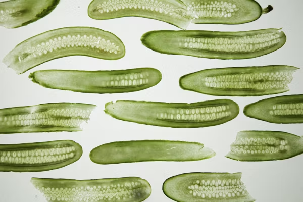 Pickle slices